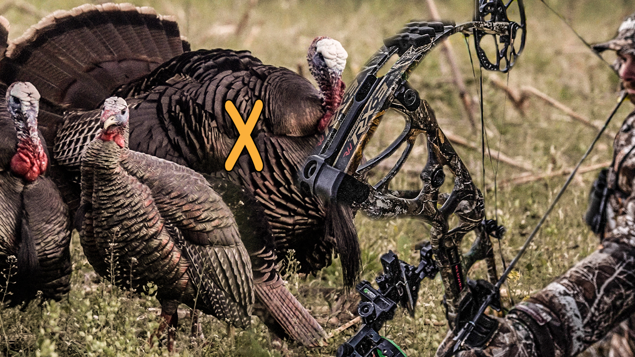 Hunting With Heroes, Crash Course on Bowhunting Turkeys | Midwest Whitetail