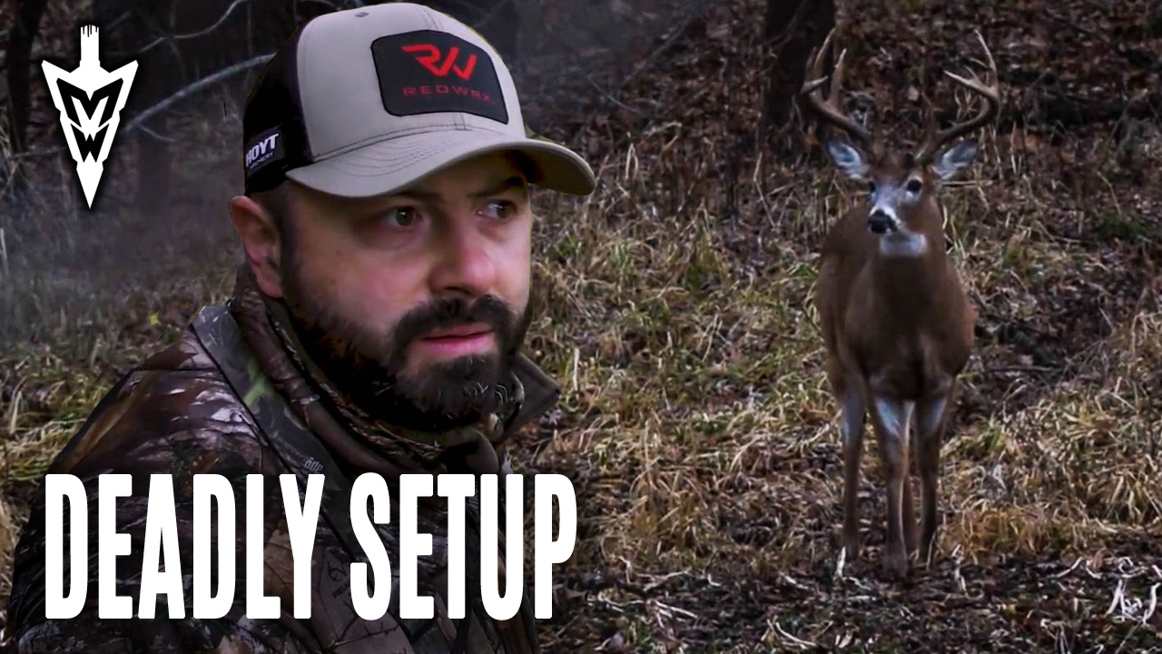 Inside Field Corner Treestand, Making Good Spots Even Better | Midwest Whitetail