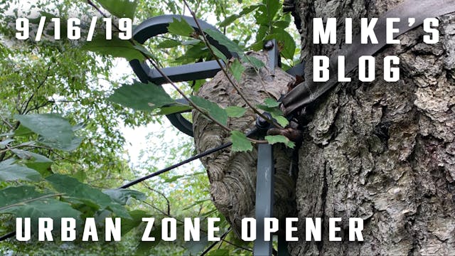 Mike's Blog: Urban Zone Opener