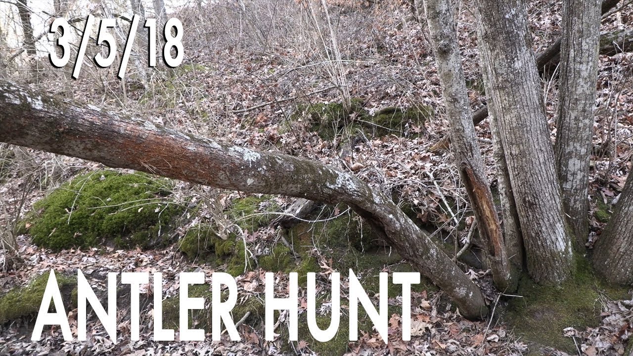 Winke's Blog: Antler Hunt Day 1