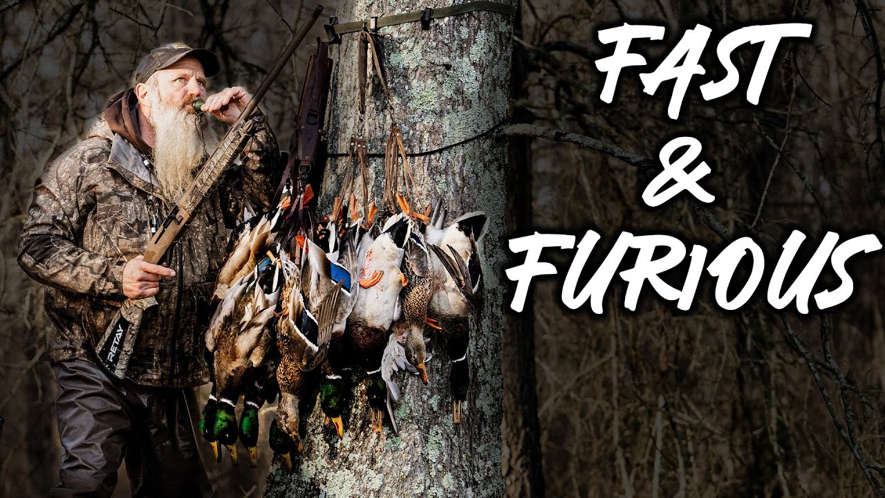 Fast And Furious, Ducks In Your Face _ Dr Duck