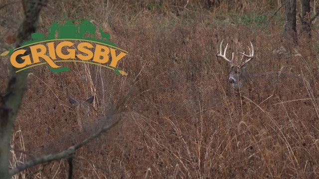 Two Giant Bucks Duke It Out | The Illinois Rut Is in Full Swing | Grigsby