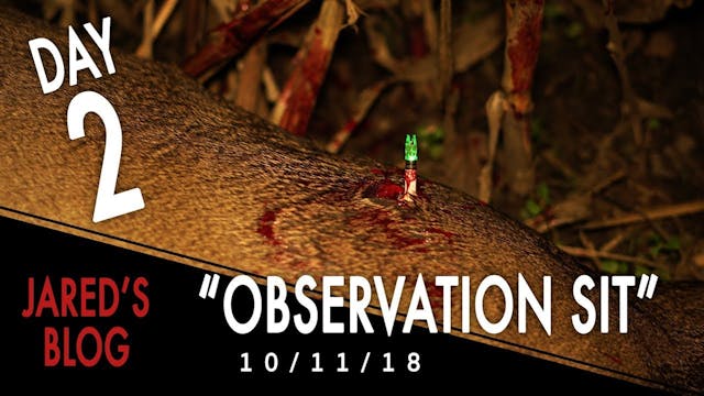 Jared's Blog: Observation Sit