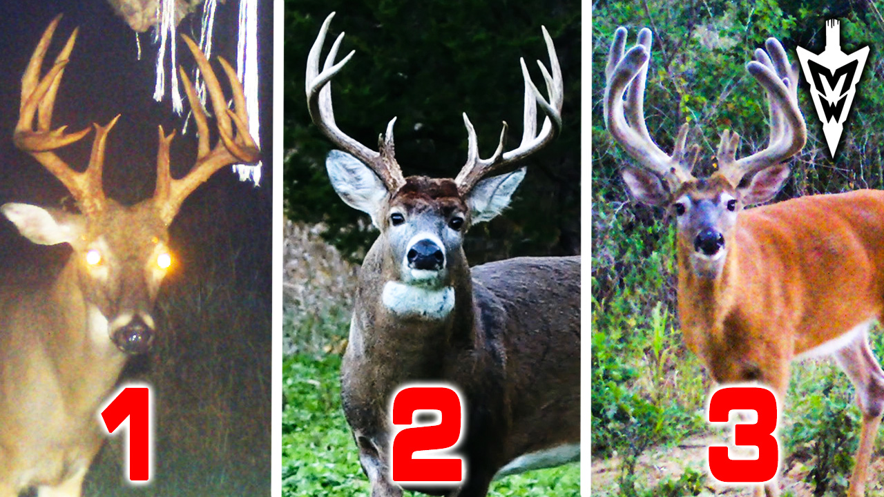 Top Prospects for the 2022 Season | Midwest Whitetail