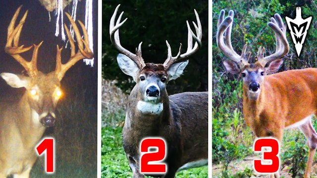 Top Prospects for the 2022 Season | Midwest Whitetail