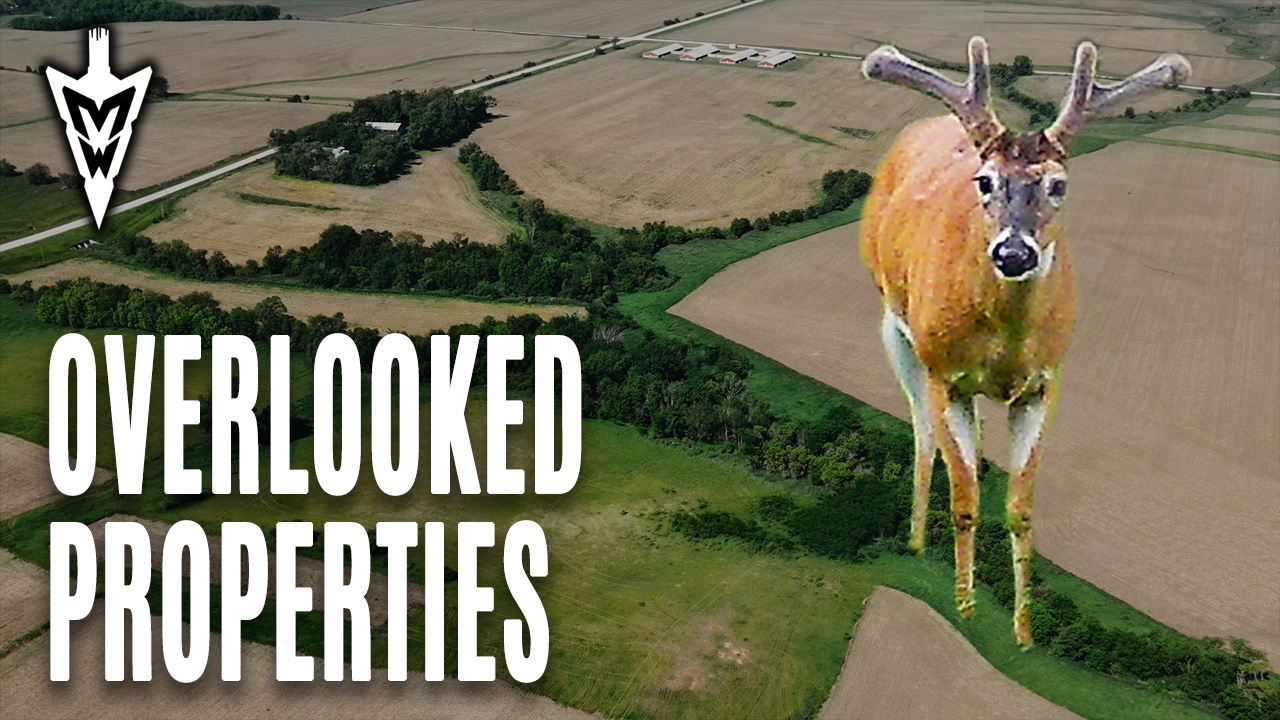 Locating Velvet Bucks in Summer, Creating Food Plot Screens | Midwest Whitetail