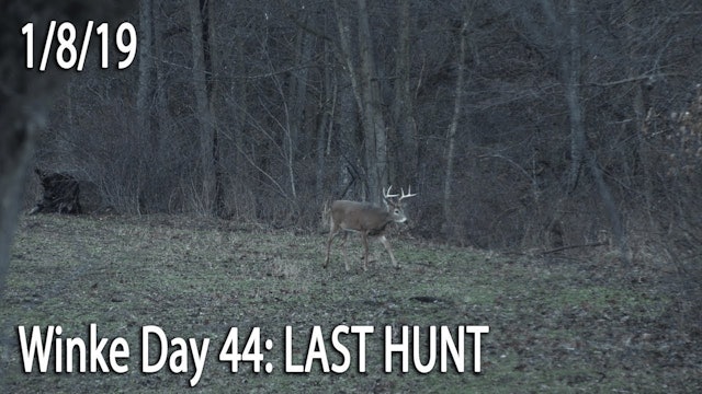 Winke Day 44: Last Hunt