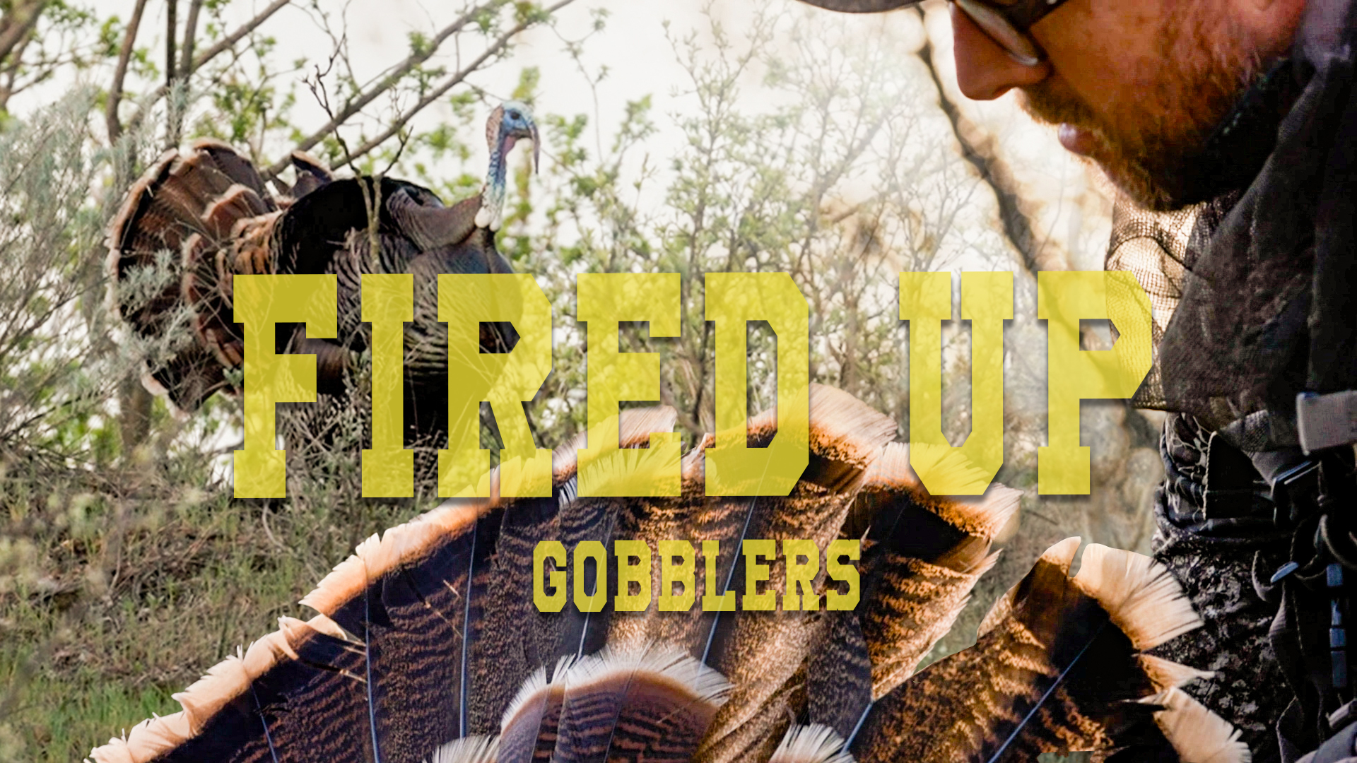 UNDER the ROOST | Oklahoma Turkey Hunt | Spring Thunder
