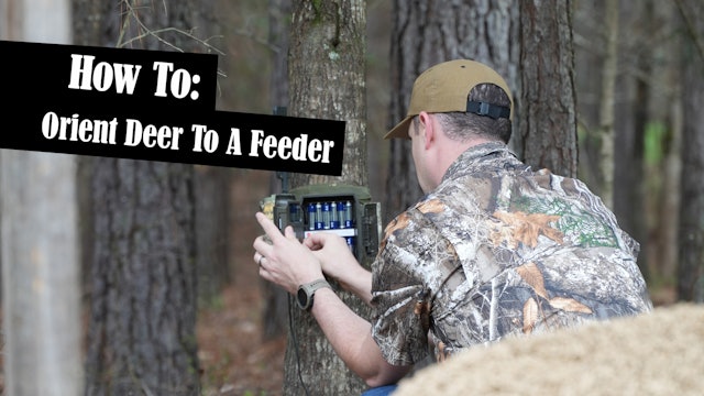 How to Orient Whitetails to a New Deer Feeder | Monster Meal Pt. 3 | Pay Dirt