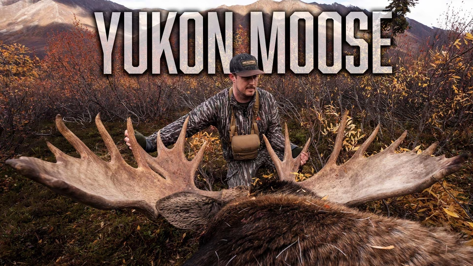 YUKON MOOSE | 8 Days in the Canadian Backcountry | Realtree Road Trips