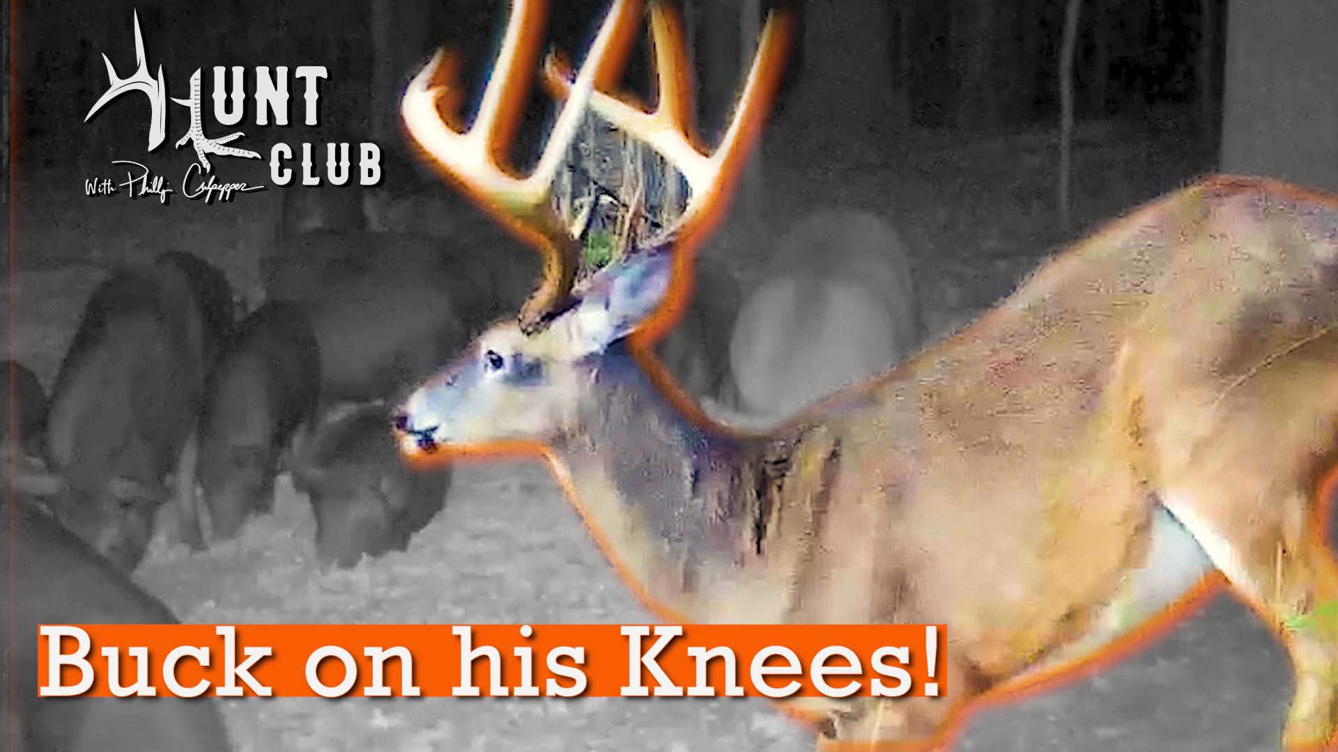 Nate Does the Unthinkable | Roger Battles 'Bama Hogs | Hunt Club