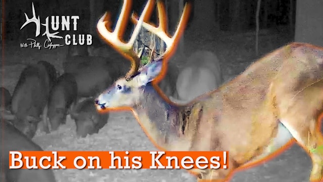 Nate Does the Unthinkable | Roger Battles 'Bama Hogs | Hunt Club