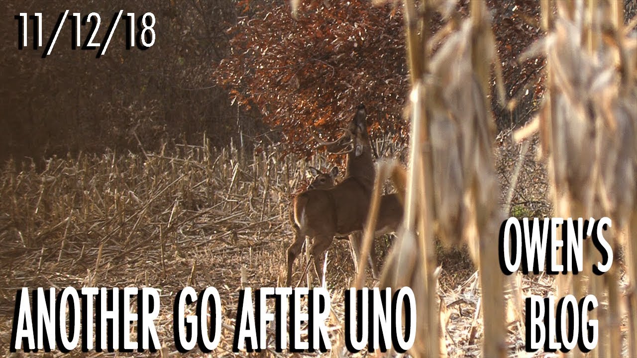 Owen's Blog: Back to Hunt Uno