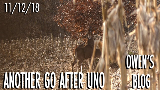 Owen's Blog: Back to Hunt Uno