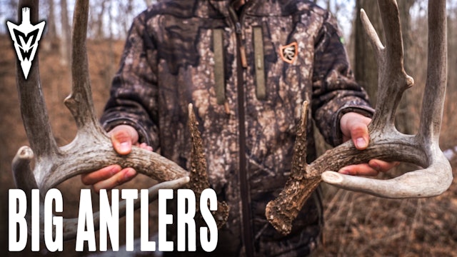3-2-20: Big Shed Antlers, When to Snort-Wheeze | Midwest Whitetail