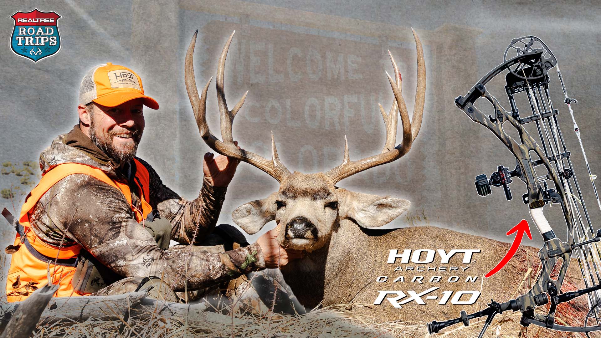 Bowhunting Colorado Rutting Mule Deer: Sudden Turn of Events