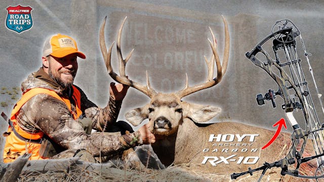 Bowhunting Colorado Rutting Mule Deer...