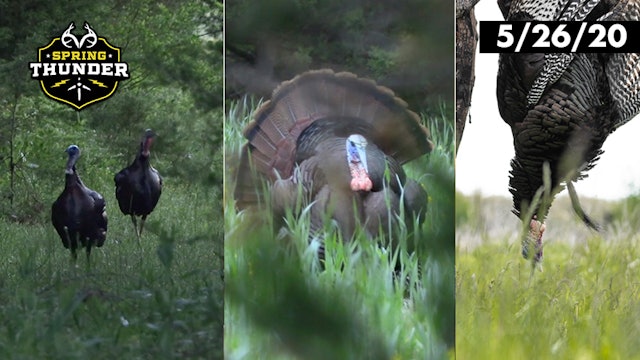 Best of Realtree Spring Thunder Week 10 | Iowa and Tennessee Turkey Hunting