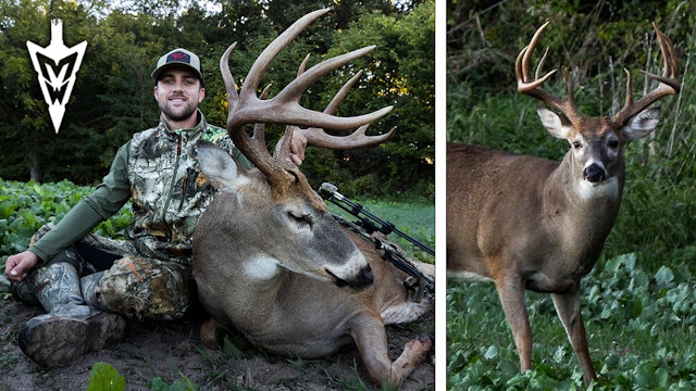 Closing the Chapter on "Krab King," A Three Year Story | Midwest Whitetail