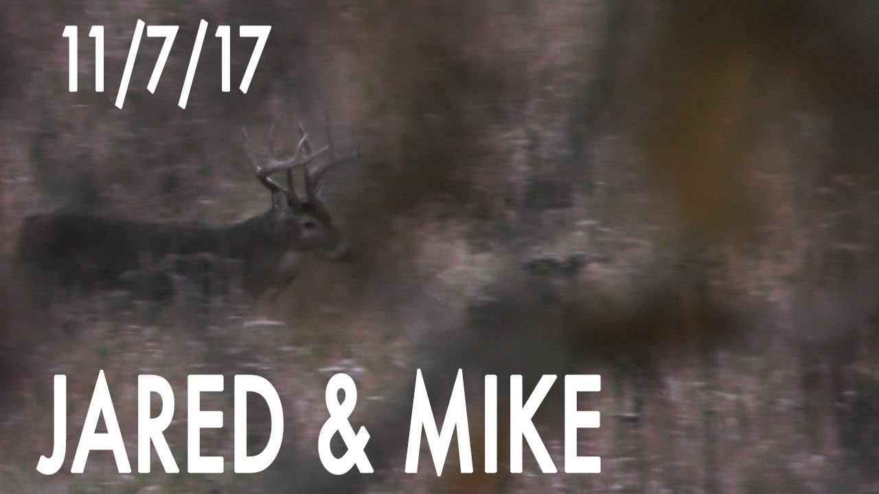 Jared's Blog: Farm's Oldest Buck