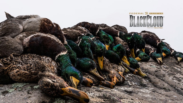 Chasing Washington Green | Duck Hunting at Eagle Lakes | Black Cloud