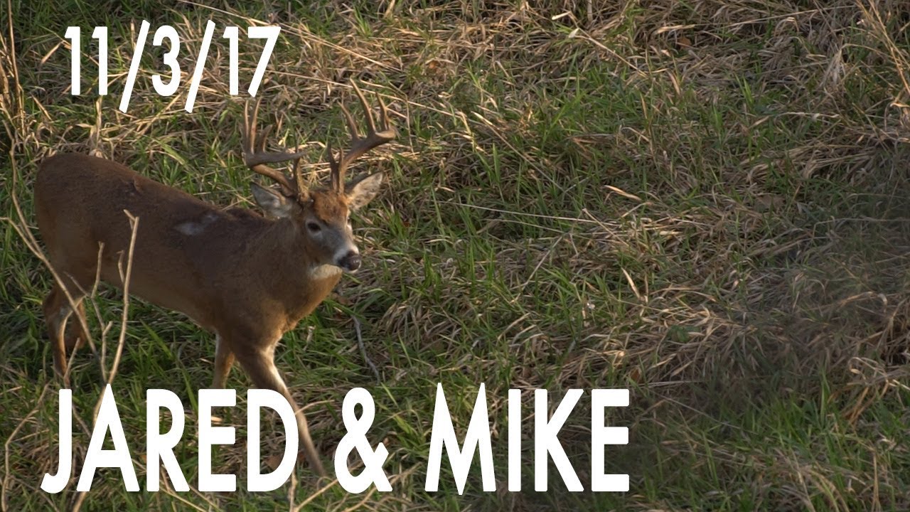 Jared's Blog: New Farm, Giant Buck