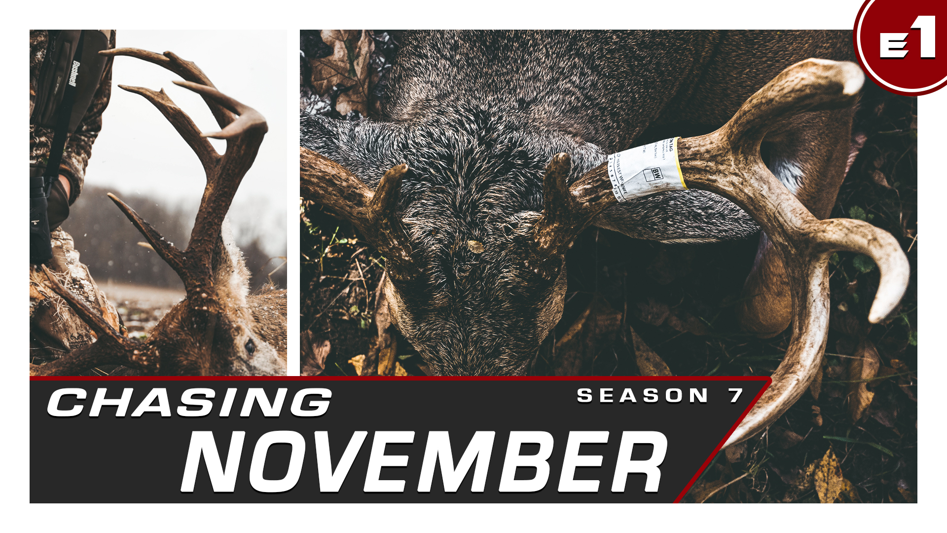 Chasing November by Midwest Whitetail