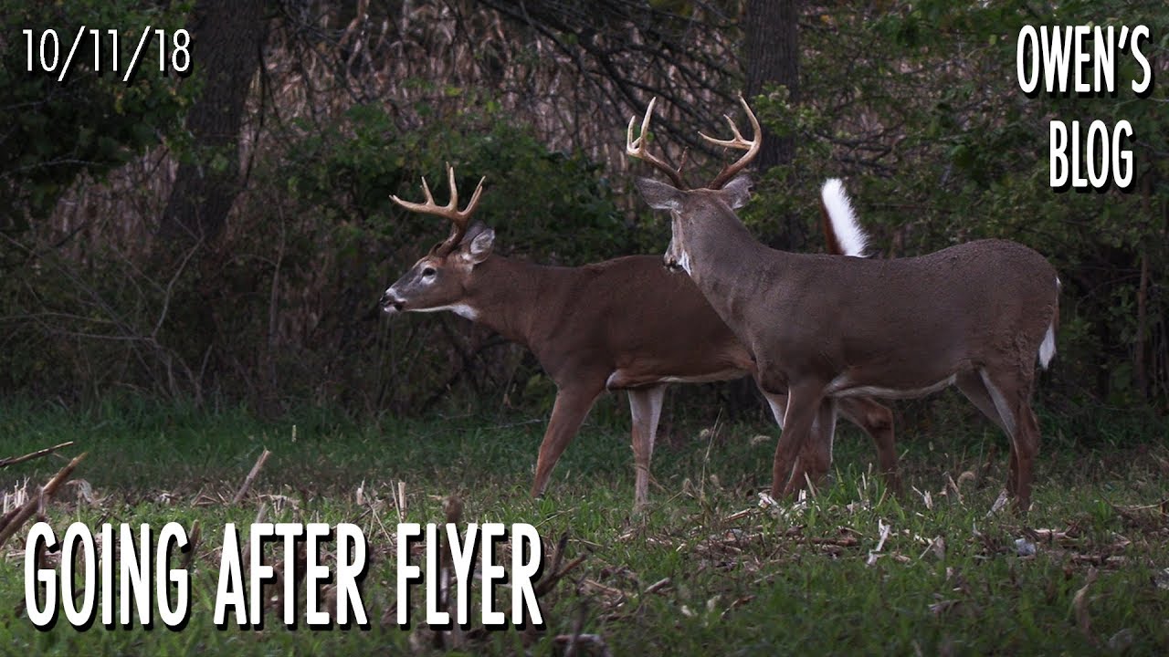 Owen's Blog: Time to Get Started - Cold Front Action