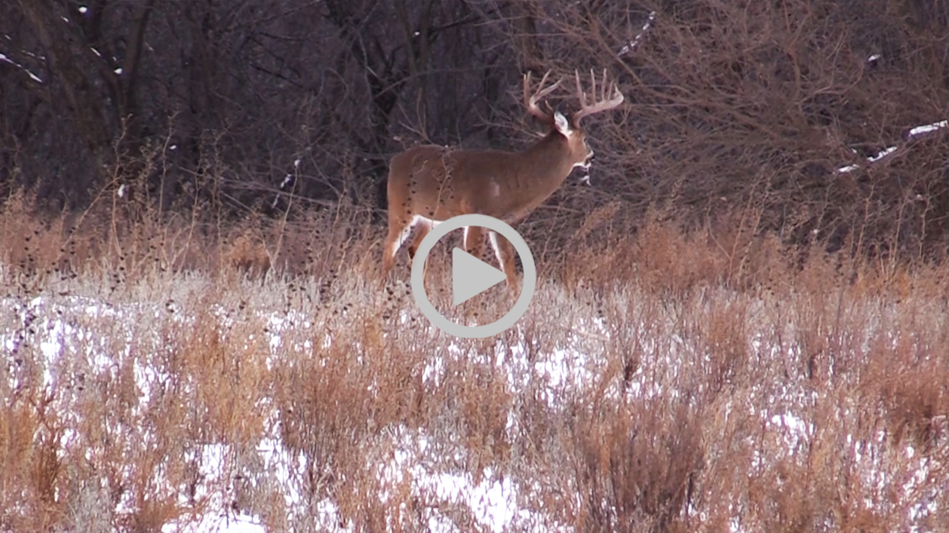 1-1-18: Perfect Late Season Conditions | Midwest Whitetail