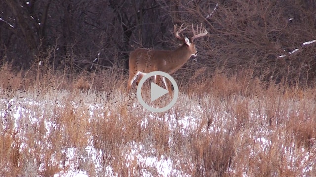 1-1-18: Perfect Late Season Conditions | Midwest Whitetail
