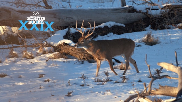 Jeff Danker's Oklahoma Whitetail in the Snow | Monster Bucks 2021