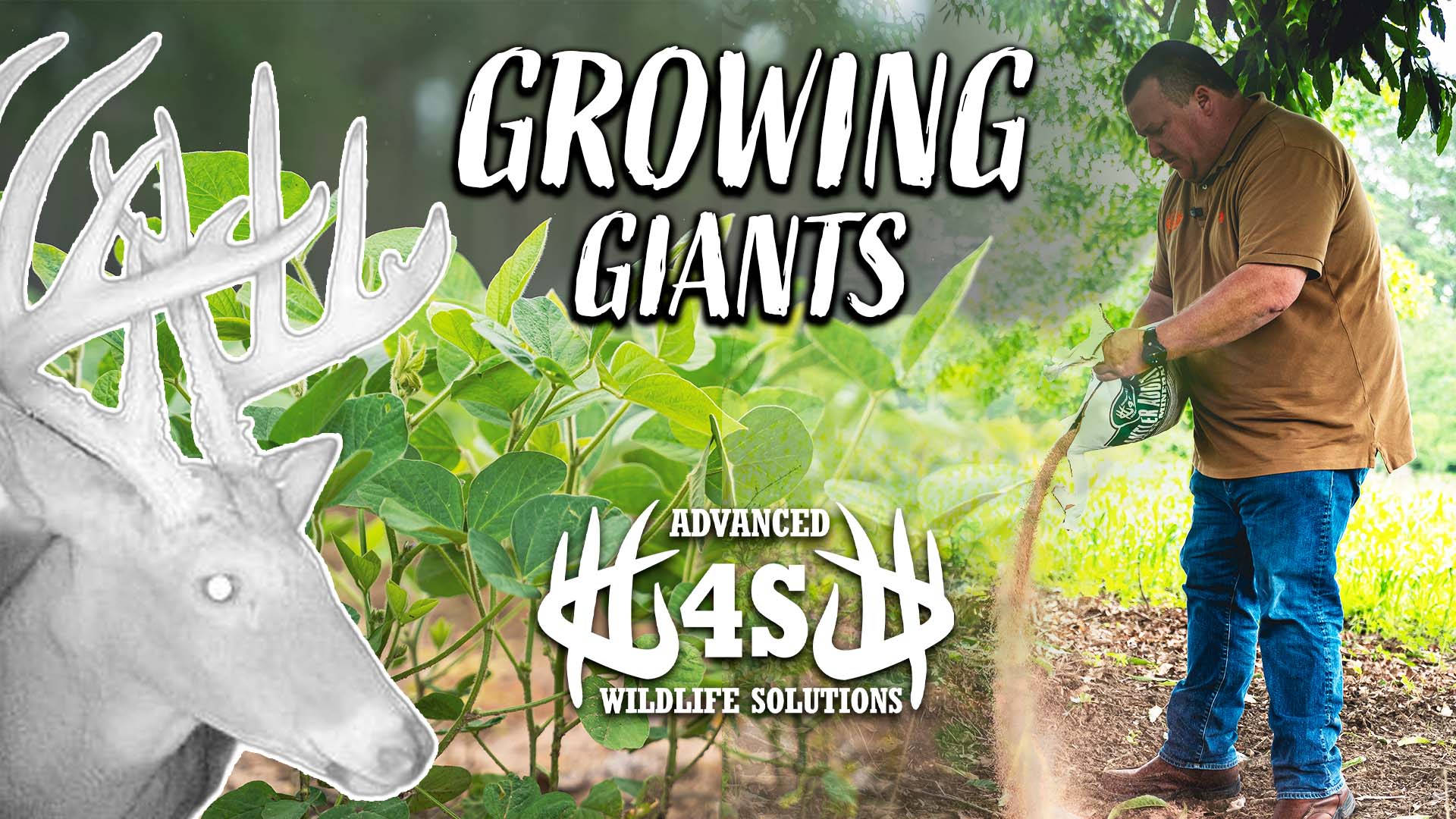 Management Practices To Grow GIANT BUCKS | Farm Day with 4S Wildlife