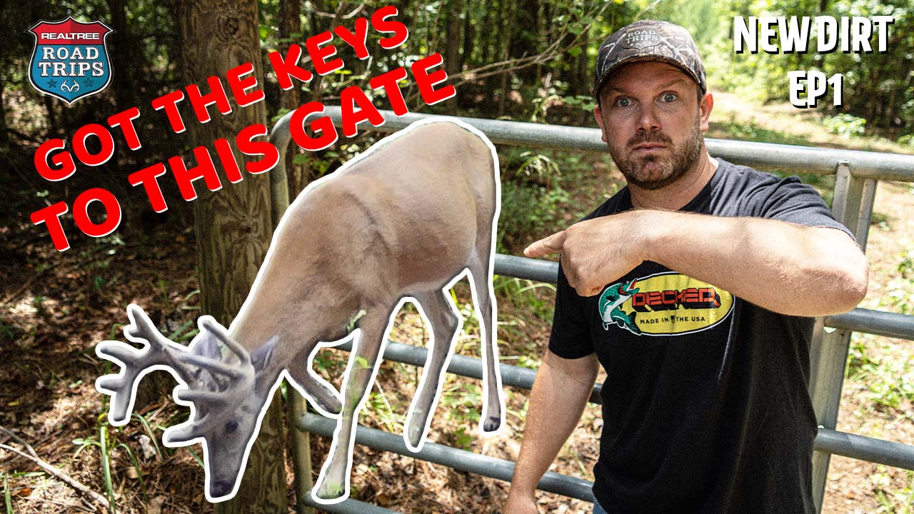 New Lease in Georgia | This Deer Lives Here | Realtree Road Trips