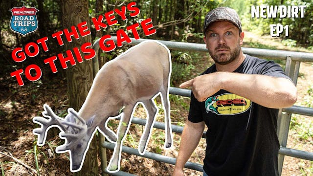 New Lease in Georgia | This Deer Live...