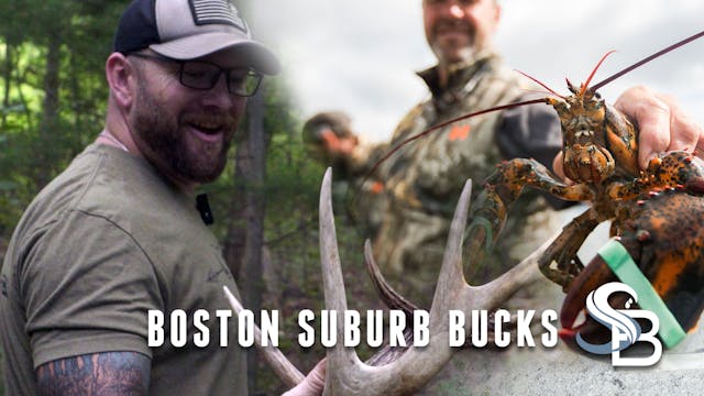 Scouting Suburban Bucks in Boston | N...