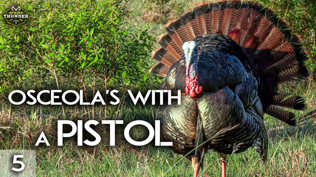 Osceola Turkey Hunt with a Pistol | Big Gobbler at 5 Steps | Spring Thunder