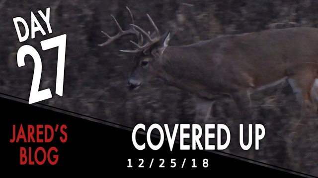 Jared's Blog: Hang & Hunt, Covered in Deer