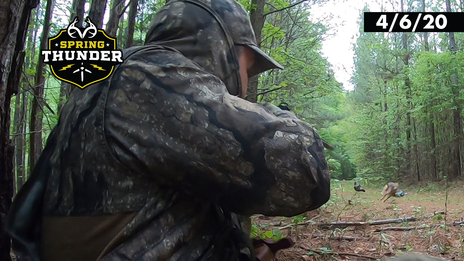 Coyote Attacks Decoy At 8 Yards | Predator Control | Realtree Spring Thunder