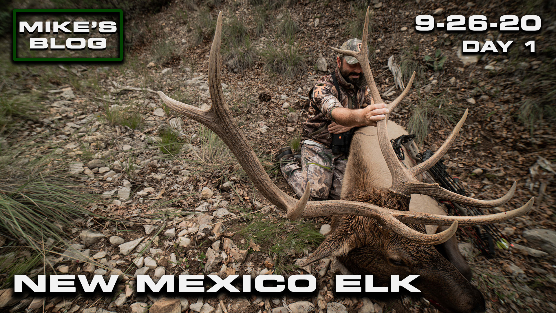 Mike's Blog: New Mexico Elk | Urban Opener