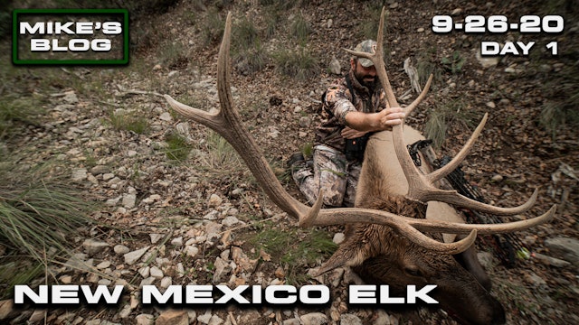 Mike's Blog: New Mexico Elk | Urban Opener