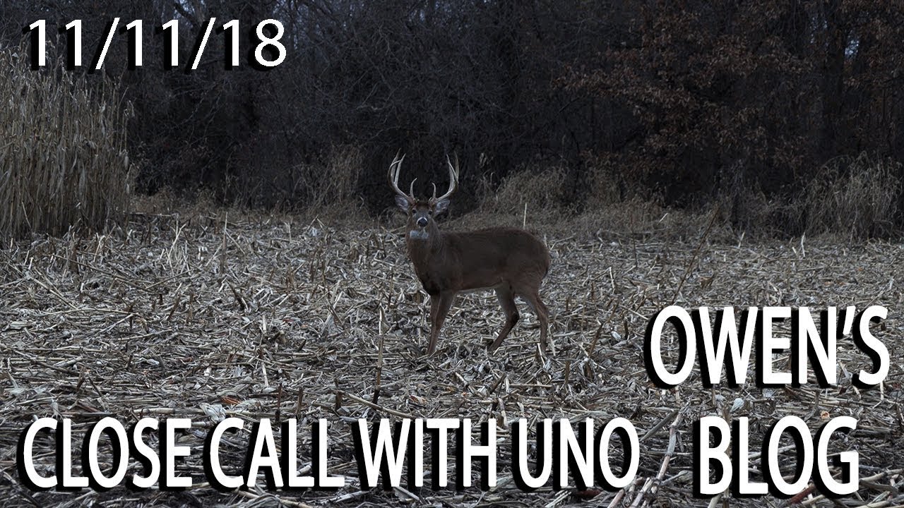 Owen's Blog: Close Call with a Giant Typical