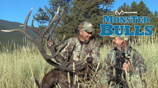 Monster Bull in Colorado | David Blanton Threads The Needle On The Shot