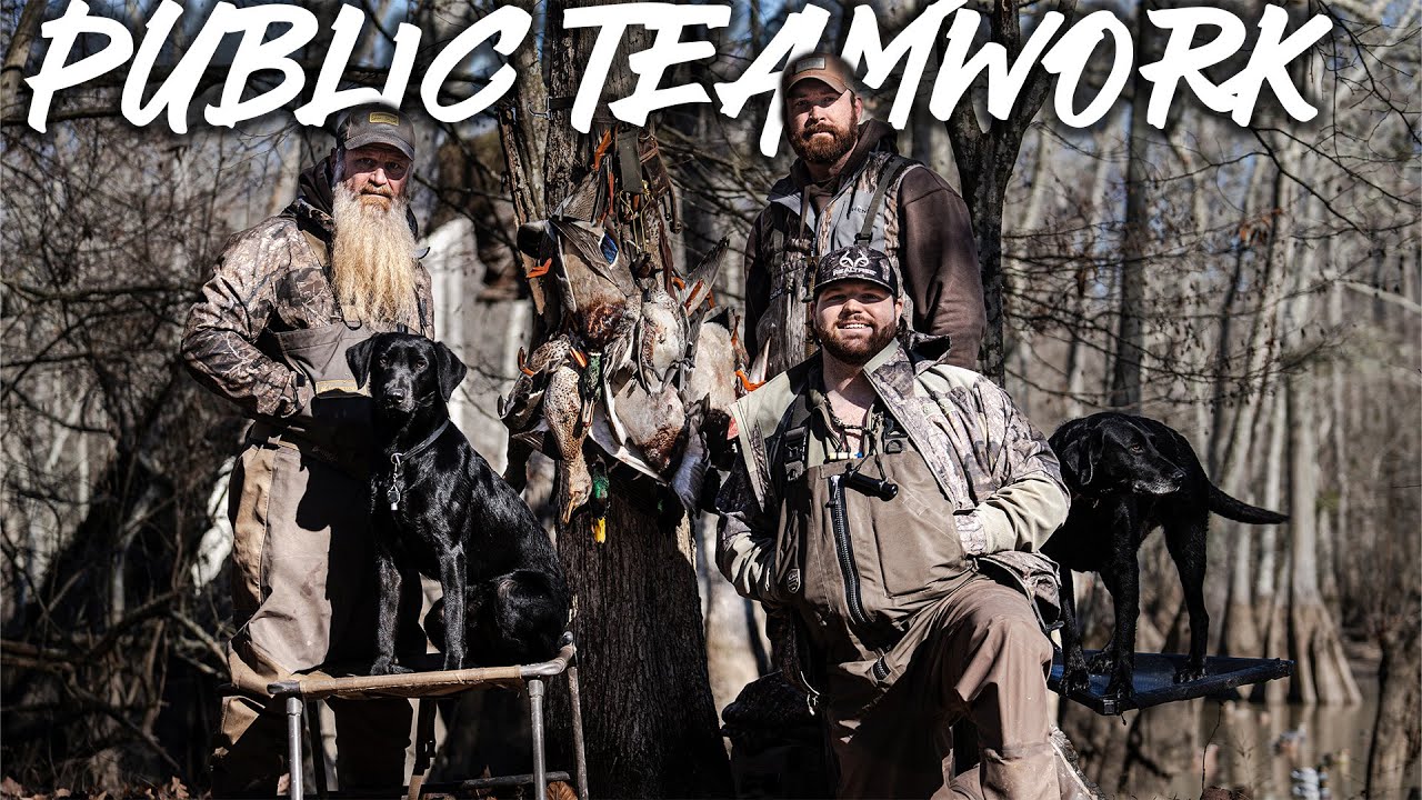 Teamwork makes the Dream Work _ Dr Duck