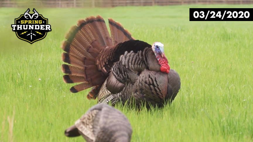 Gobbler Struts Into Range | Colton Jordan Turkey Hunt | Realtree Spring Thunder