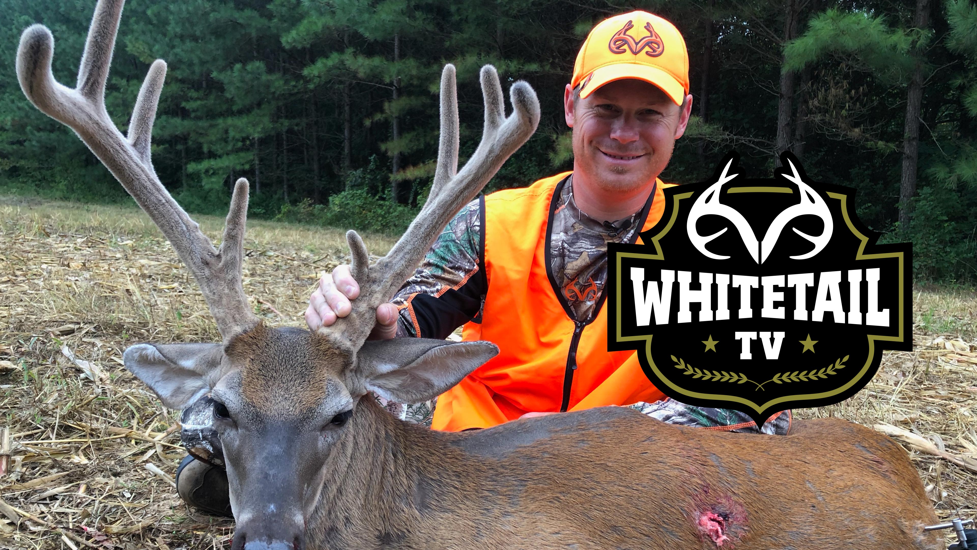 Tennessee Velvet Hunt