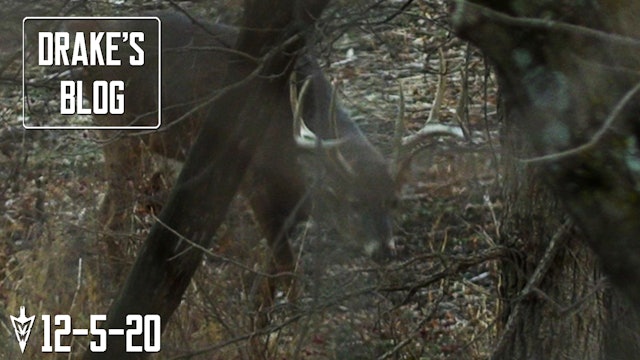 Drake's Blog: Calling to a Shooter Buck | Last Chance Deer Hunting