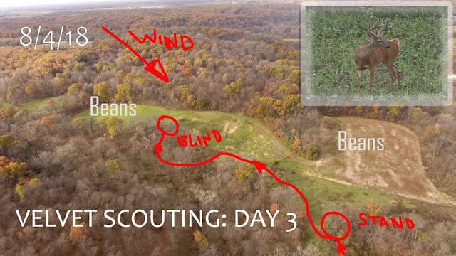 Winke's Blog: Velvet Scouting Day 3