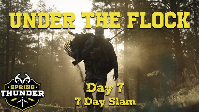 7-Day Slam: Loud-Mouthed Longbeards in the Rocky Mountains | Spring Thunder