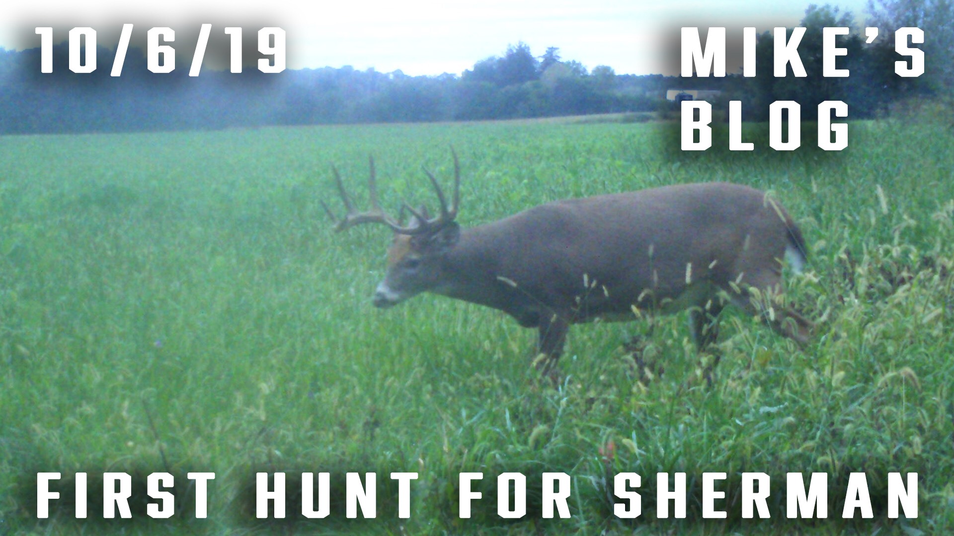 Mike's Blog: First Hunt for Sherman, Hectic Night