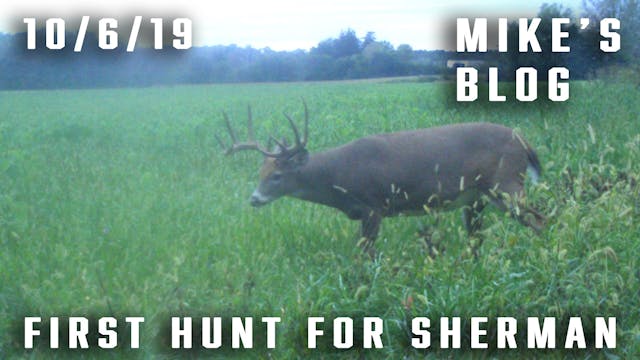 Mike's Blog: First Hunt for Sherman, ...